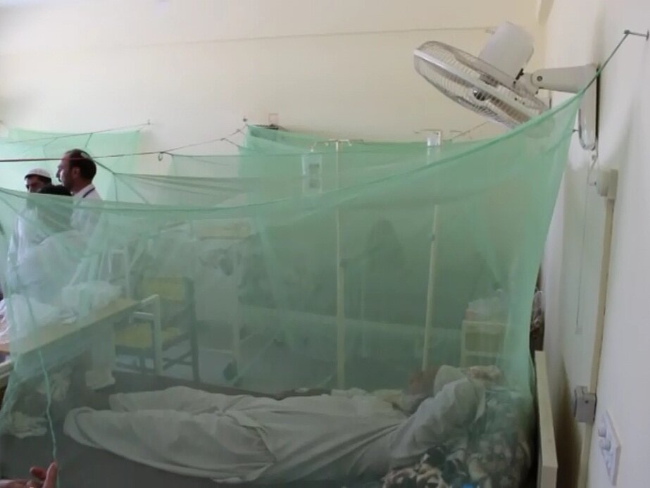 Dengue death toll in KP soars to 52