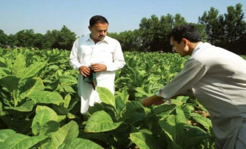 KP govt launches tele-farming program for farmers counseling