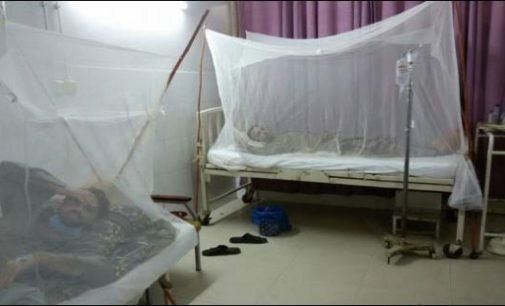 Dengue death toll soars to 56 in KP